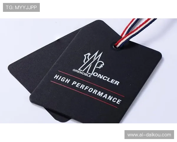 探索尊龙凯时网页的丰富内容与功能特色