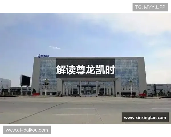 尊龙凯时体育域名维护与管理技巧确保域名安全与持续运营